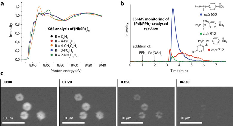 Revealing the nature of reactive species in chemical transformations with nano-structured reagents