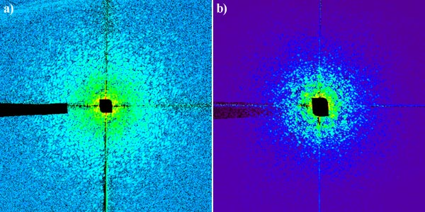 Coherent diffraction patterns of unstained Deinococcus Radiodurans bacteria.